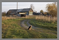 ������ �����.jpg